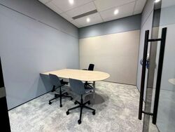 Mapletree Anson (D2), Office #504164781